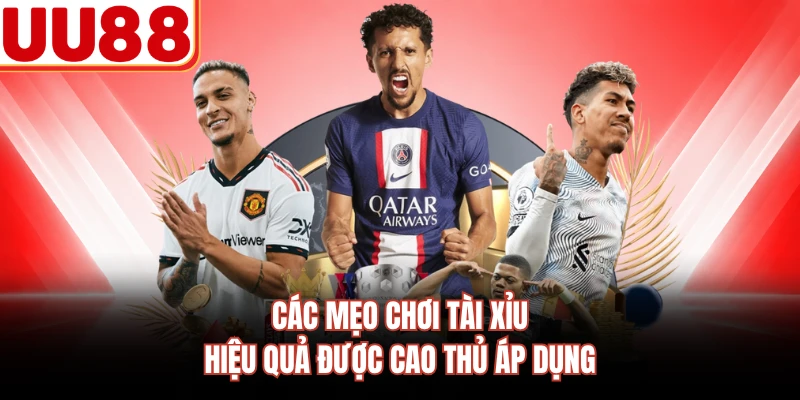 Các mẹo chơi tài xỉu hiệu quả được cao thủ áp dụng