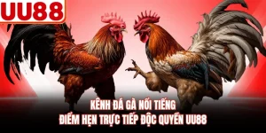 Kênh Đá Gà Nổi Tiếng - Điểm Hẹn Trực Tiếp Độc Quyền UU88