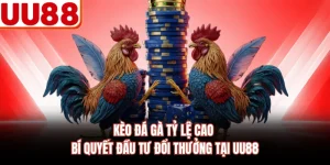 Kèo Đá Gà Tỷ Lệ Cao - Bí Quyết Đầu Tư Đổi Thưởng Tại UU88