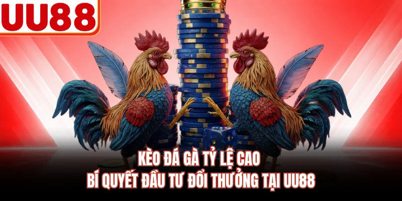 Kèo Đá Gà Tỷ Lệ Cao - Bí Quyết Đầu Tư Đổi Thưởng Tại UU88