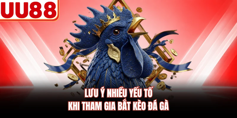 Lưu ý nhiều yếu tố khi tham gia bắt kèo đá gà
