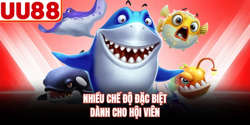 Nhiều chế độ đặc biệt dành cho hội viên