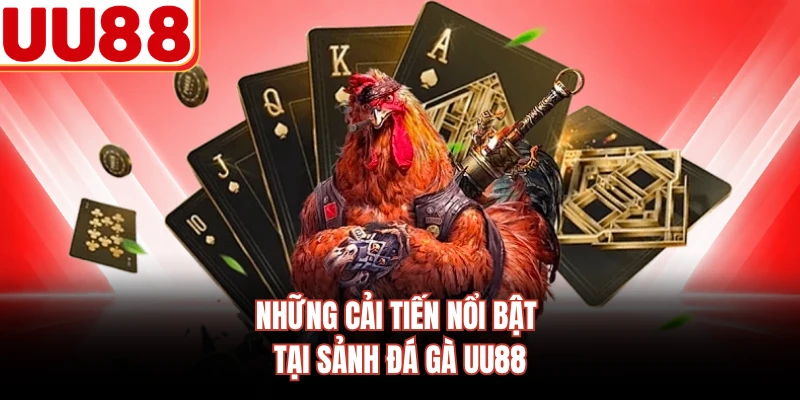 Những cải tiến nổi bật tại sảnh đá gà UU88