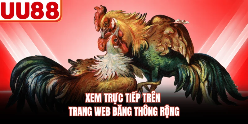 Xem trực tiếp trên trang web băng thông rộng